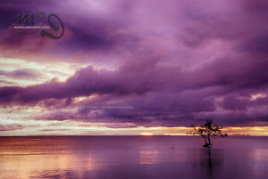 HDR image of another colourful sunset in Southern Leyte by Mona Dienhart 
